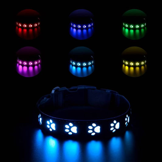 LED Hundehalsband