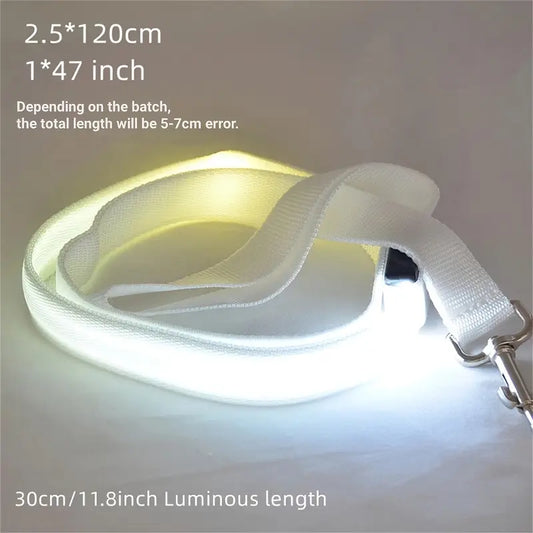 LED-Hundeleine